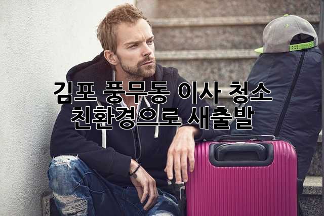 김포 풍무동 이사 청소: 친환경으로 새출발!