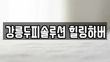 강릉두피솔루션 힐링하버