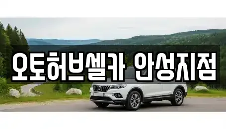 오토허브셀카 안성지점