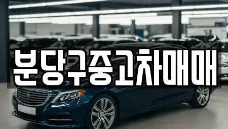 정자동 전문 중고차,자동차전시장,렌트카,장기렌트카 업체 17 위치