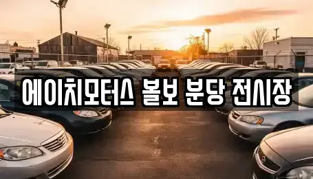에이치모터스 볼보 분당 전시장