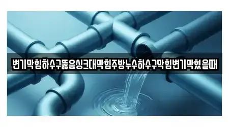 변기막힘하수구뚫음싱크대막힘주방누수하수구막힘변기막혔을때