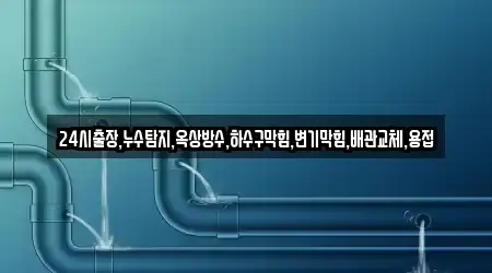 24시출장,누수탐지,옥상방수,하수구막힘,변기막힘,배관교체,용접