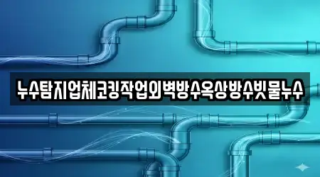 누수탐지업체코킹작업외벽방수옥상방수빗물누수