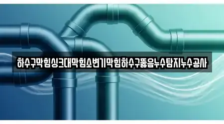 하수구막힘싱크대막힘소변기막힘하수구뚫음누수탐지누수공사
