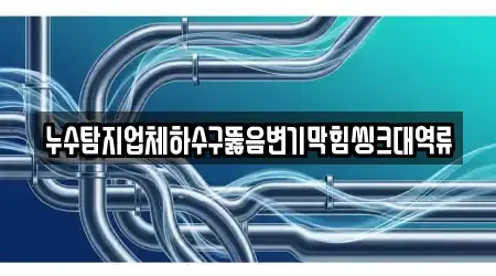 누수탐지업체하수구뚫음변기막힘씽크대역류