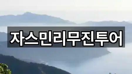 주소 링크 모음: 경북 경주시 구정동 웨딩카 1곳