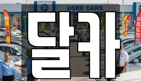 경기 수원시 팔달구 매산로1가 단기렌트카 전문 달카