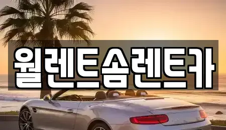 경기 수원시 팔달구 매산로1가 렌트카 전문 월렌트솜렌트카