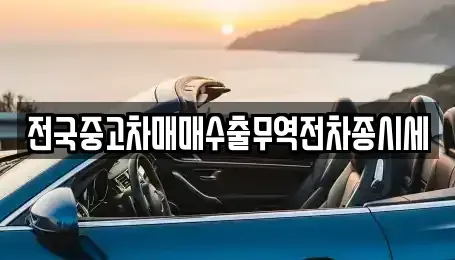 경기 화성시 목동 중고차 전문 전국중고차매매수출무역전차종시세