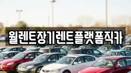 경기도 광주시 경안동 장기렌트카,중고차,렌트카,단기렌트카,중고차매입,중고차매매