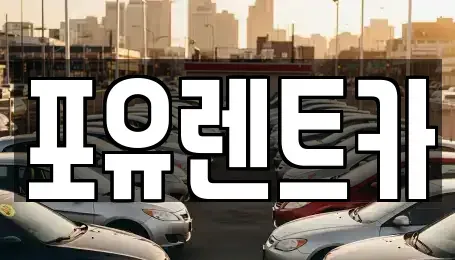 경기도 광주시 경안동 장기렌트카 전문 포유렌트카