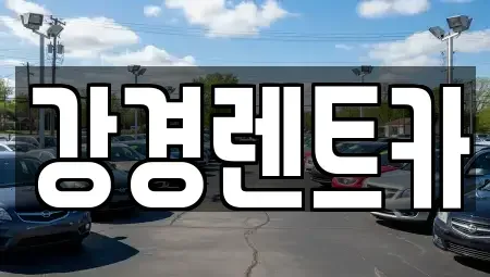 경기도 안산시 단원구 초지동 렌트카 전문 강경렌트카