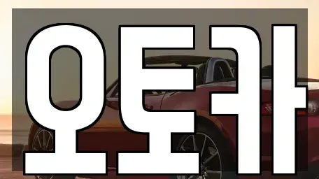 경기도 안산시 단원구 초지동 중고차매매 전문 오토카