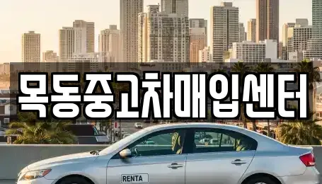 경기도 안산시 단원구 초지동 중고차매입 전문 목동중고차매입센터