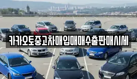 경기도 안산시 단원구 초지동 중고차매입 전문 카카오토중고차매입매매수출판매시세