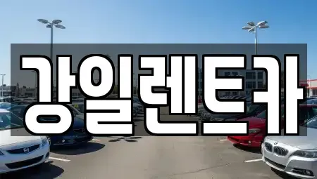 경기도 화성시 향남읍 렌트카 전문 강일렌트카