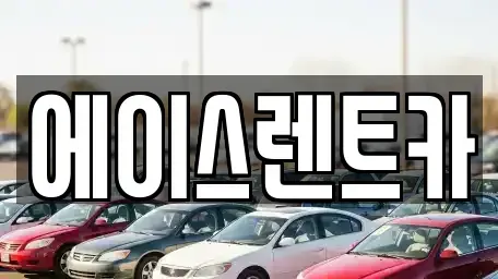 경기도 화성시 향남읍 렌트카 전문 에이스렌트카