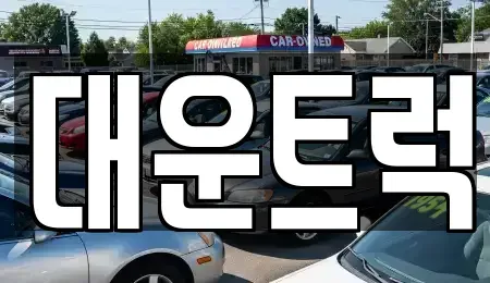 경기도 화성시 향남읍 중고차 전문 대운트럭