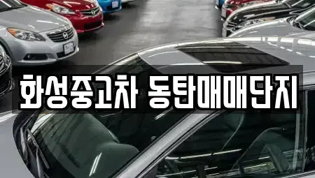 경기도 화성시 향남읍 중고차,렌트카,중고차매입,중고차매매,장기렌트카,단기렌트카