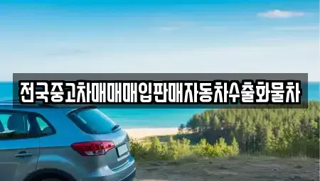 경기도 화성시 향남읍 중고차매입 전문 전국중고차매매매입판매자동차수출화물차