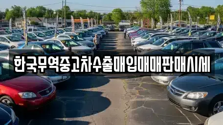 경기도 화성시 향남읍 중고차매입 전문 한국무역중고차수출매입매매판매시세