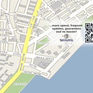 경남 창원시 마산합포구 장군동2가 중고차매입 전국중고차매매-중고차수출,사고노후차매입 위치