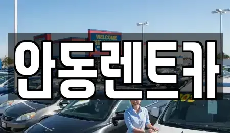 경북 안동시 안기동 렌트카 전문 안동렌트카