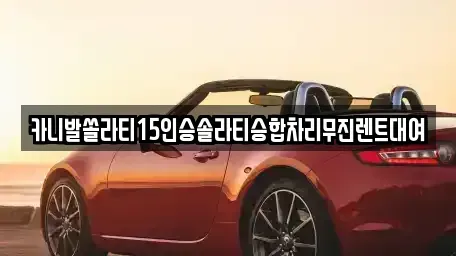 경북 안동시 안기동 렌트카 전문 카니발쏠라티15인승솔라티승합차리무진렌트대여