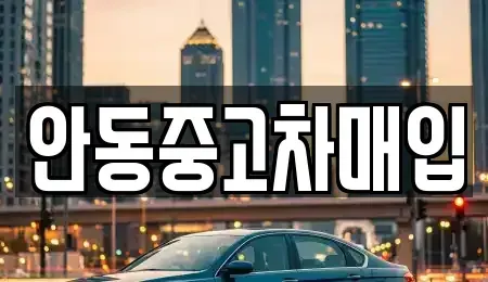 경북 안동시 안기동 중고차 전문 안동중고차매입