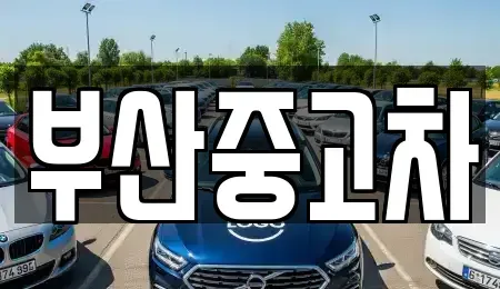부산 중고차 전문 부산중고차