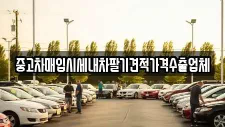 부산광역시 강서구 천성동 중고차 전문 중고차매입시세내차팔기견적가격수출업체