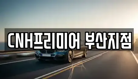 부산광역시 중구 대청동3가 렌트카 전문 CNH프리미어 부산지점