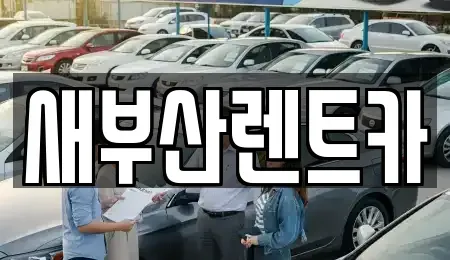 부산광역시 중구 대청동3가 렌트카 전문 새부산렌트카