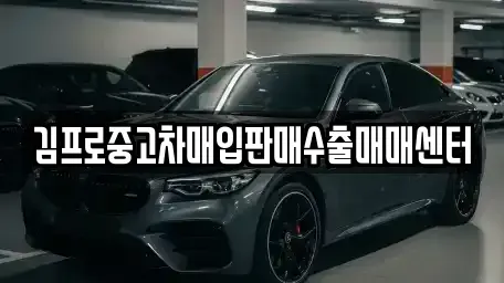 부산광역시 중구 대청동3가 중고차매입 전문 김프로중고차매입판매수출매매센터