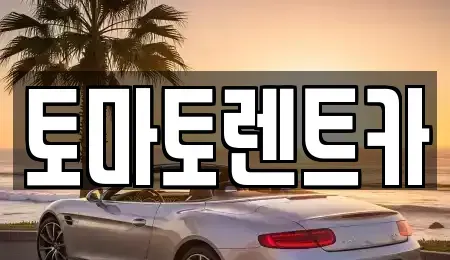 서울 양천구 신정동 렌트카 전문 토마토렌트카