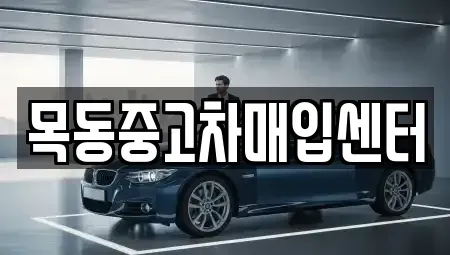 서울 양천구 신정동 중고차매입 전문 목동중고차매입센터