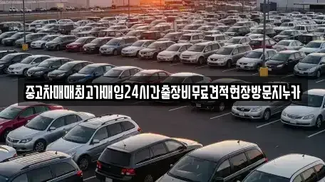 서울 양천구 신정동 중고차매입 전문 중고차매매최고가매입24시간출장비무료견적현장방문지누카