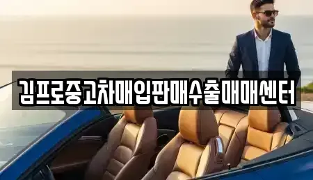 인천광역시 미추홀구 용현동 중고차매입 전문 김프로중고차매입판매수출매매센터