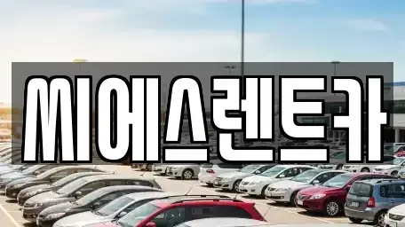 충청남도 천안시 동남구 사직동 렌트카 전문 씨에스렌트카