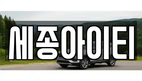 충청남도 천안시 동남구 사직동 중고차 전문 세종아이티