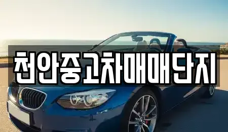 충청남도 천안시 동남구 사직동 중고차 전문 천안중고차매매단지