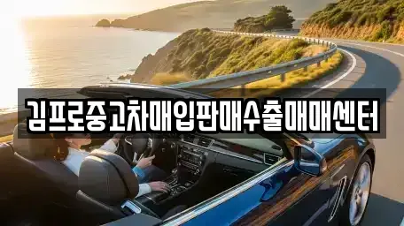 충청남도 천안시 동남구 사직동 중고차매입 전문 김프로중고차매입판매수출매매센터