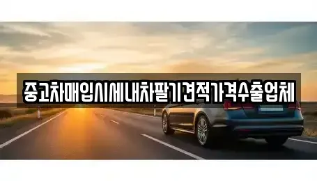 충청남도 천안시 동남구 사직동 중고차매입 전문 중고차매입시세내차팔기견적가격수출업체