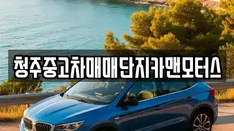 충청북도 중고차 전문 청주중고차매매단지카맨모터스