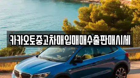 충청북도 중고차매입 전문 카카오토중고차매입매매수출판매시세