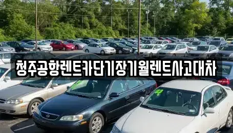 충청북도 청주시 상당구 남문로2가 단기렌트카,중고차매입,중고차매매,중고차,렌트카,장기렌트카